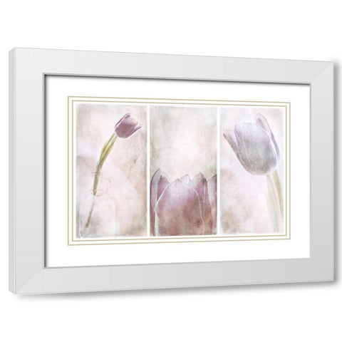Untitled White Modern Wood Framed Art Print with Double Matting by Davidsson, Gustav