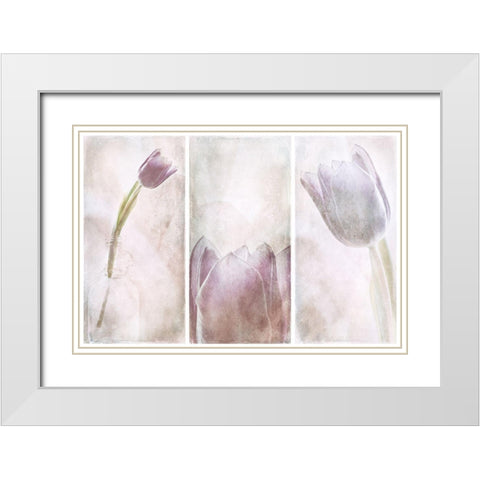 Untitled White Modern Wood Framed Art Print with Double Matting by Davidsson, Gustav