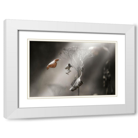 Withe Hydrangea White Modern Wood Framed Art Print with Double Matting by Suzuki, Takashi