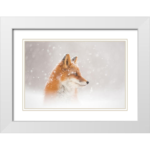 Snow Is Fallinga?B White Modern Wood Framed Art Print with Double Matting by Budkov, Denis
