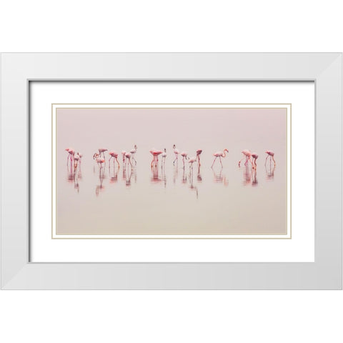 Water Ballet White Modern Wood Framed Art Print with Double Matting by Thabet, Ahmed