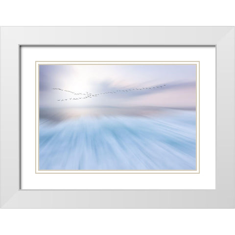 Fly Over White Modern Wood Framed Art Print with Double Matting by Hermann, Uschi