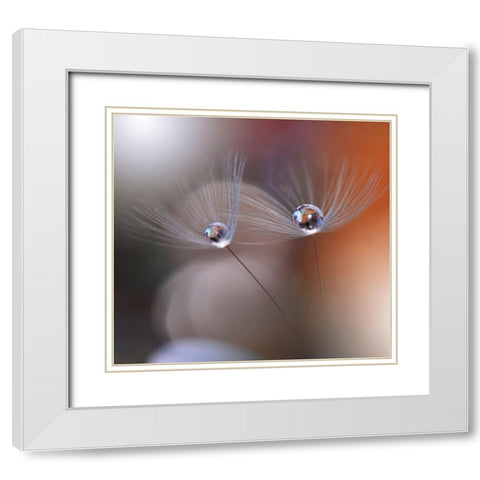 Immortal Love.. White Modern Wood Framed Art Print with Double Matting by Nan, Juliana