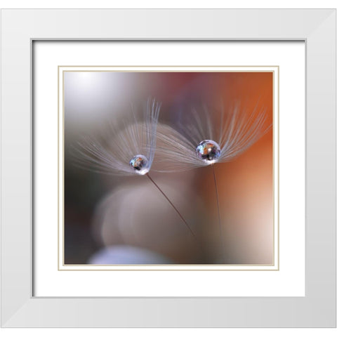 Immortal Love.. White Modern Wood Framed Art Print with Double Matting by Nan, Juliana