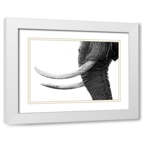 White Gold White Modern Wood Framed Art Print with Double Matting by Marx, Jaco