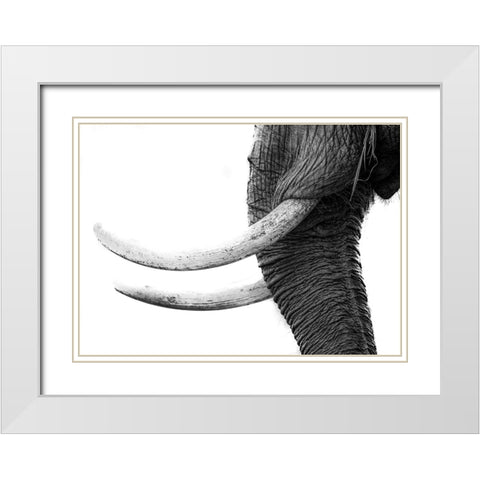 White Gold White Modern Wood Framed Art Print with Double Matting by Marx, Jaco