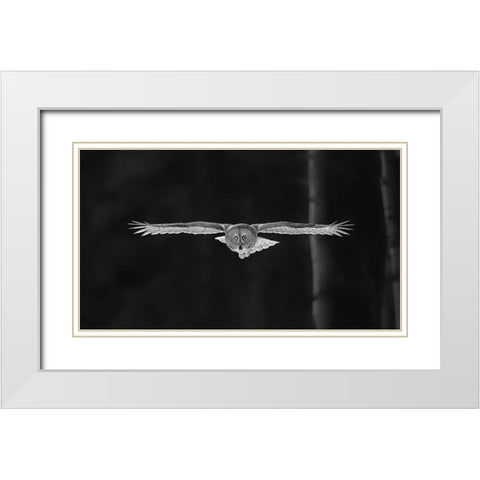 Out Of The Woods White Modern Wood Framed Art Print with Double Matting by Zuo, Jun