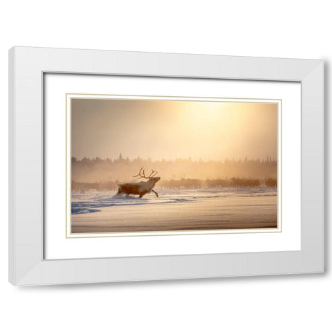 Alpha Male White Modern Wood Framed Art Print with Double Matting by Minar, Patrik