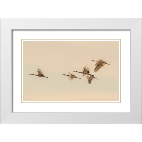 Untitled White Modern Wood Framed Art Print with Double Matting by Wang, Qingsong