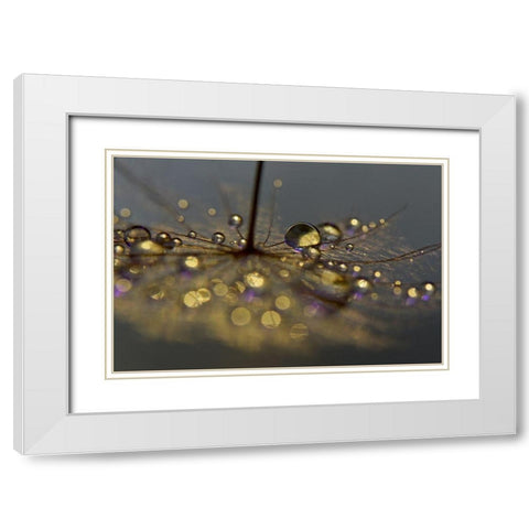 Golden Purple White Modern Wood Framed Art Print with Double Matting by Westum, Heidi