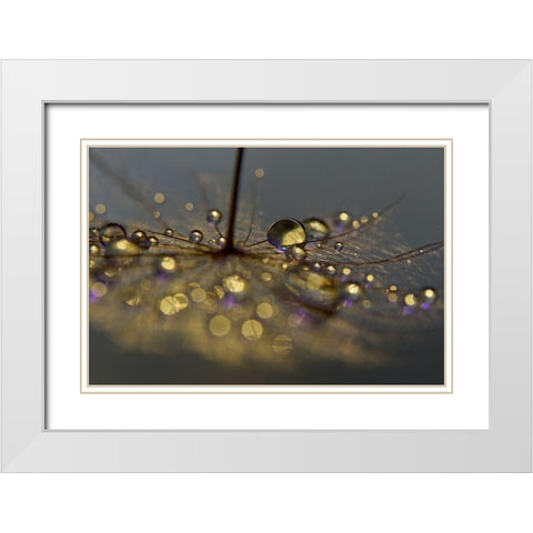 Golden Purple White Modern Wood Framed Art Print with Double Matting by Westum, Heidi