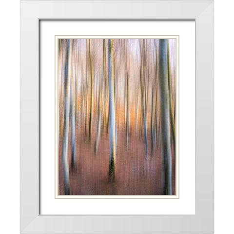 Magic Woodland White Modern Wood Framed Art Print with Double Matting by Zanin, Riccardo