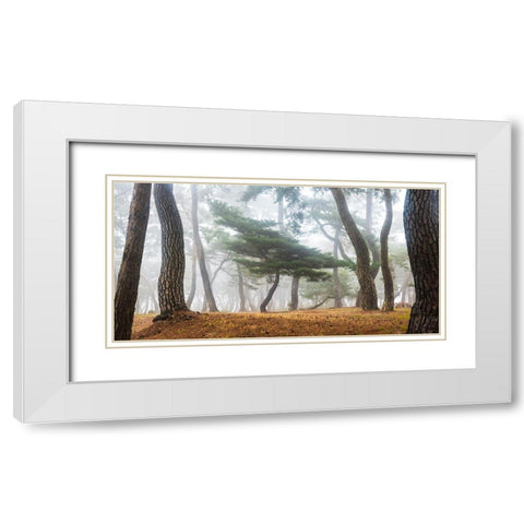 In The Misty Pine Forest White Modern Wood Framed Art Print with Double Matting by Ryu, Jaeyoun