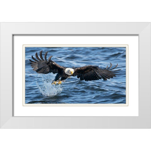 King Of Mississippi White Modern Wood Framed Art Print with Double Matting by Fan, John