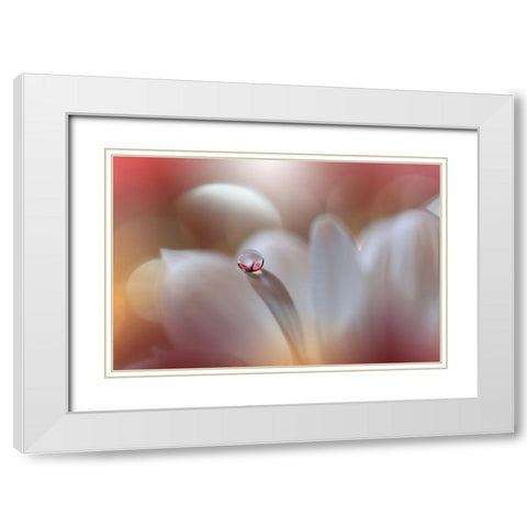 Enigma.. White Modern Wood Framed Art Print with Double Matting by Nan, Juliana