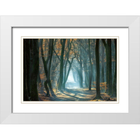 Cold Light White Modern Wood Framed Art Print with Double Matting by Borggreve, Ellen