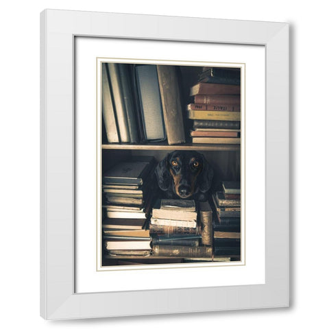 Der Kleine Bibliothekar - Little Librarian White Modern Wood Framed Art Print with Double Matting by Willers, Heike