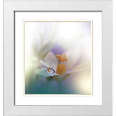 All Of Me... White Modern Wood Framed Art Print with Double Matting by Nan, Juliana