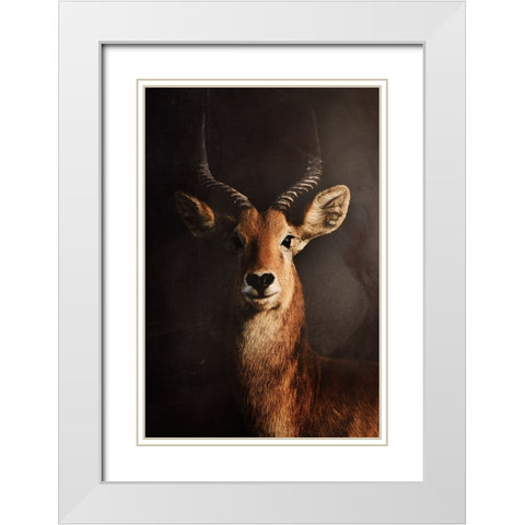 Untitled White Modern Wood Framed Art Print with Double Matting by Grambone, Antonio