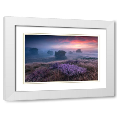 Qthe Colors Of Heatherq White Modern Wood Framed Art Print with Double Matting by Pachula, Adam