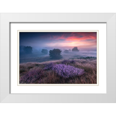 Qthe Colors Of Heatherq White Modern Wood Framed Art Print with Double Matting by Pachula, Adam