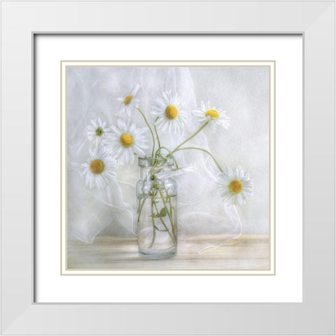 Daisies White Modern Wood Framed Art Print with Double Matting by Disher, Mandy