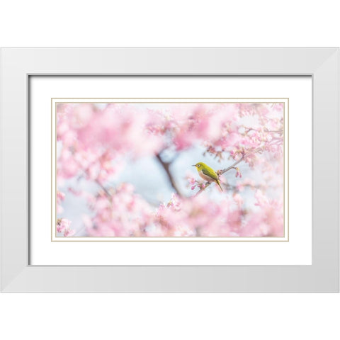 Cherry-Blossom Color White Modern Wood Framed Art Print with Double Matting by Suzuki, Takashi