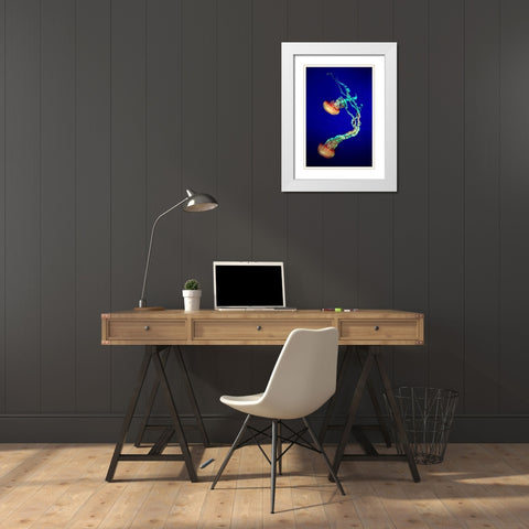 Jelly Fish White Modern Wood Framed Art Print with Double Matting by Provost, Louis-Philippe