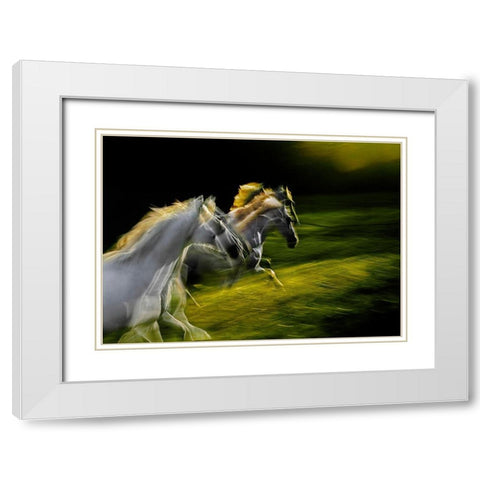 White Goddnesses White Modern Wood Framed Art Print with Double Matting by Malovrh, Milan