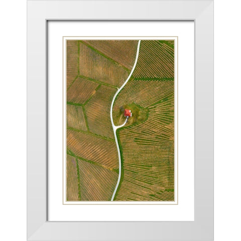 Vinyards White Modern Wood Framed Art Print with Double Matting by Kravanja, Jure