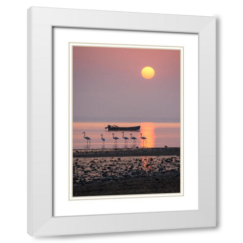 Morning Sunbath White Modern Wood Framed Art Print with Double Matting by Nikoloulis, Ilias
