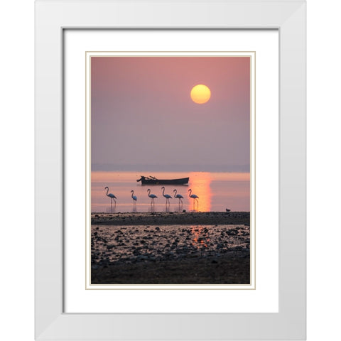 Morning Sunbath White Modern Wood Framed Art Print with Double Matting by Nikoloulis, Ilias