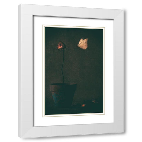 Mon Amie La Rose... White Modern Wood Framed Art Print with Double Matting by Devos, Delphine