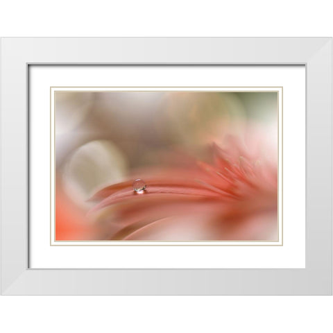 Light Touch.. White Modern Wood Framed Art Print with Double Matting by Nan, Juliana