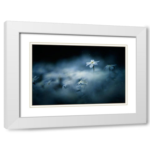 Spring Glow White Modern Wood Framed Art Print with Double Matting by Suzuki, Takashi