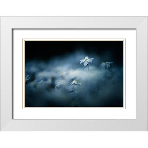 Spring Glow White Modern Wood Framed Art Print with Double Matting by Suzuki, Takashi