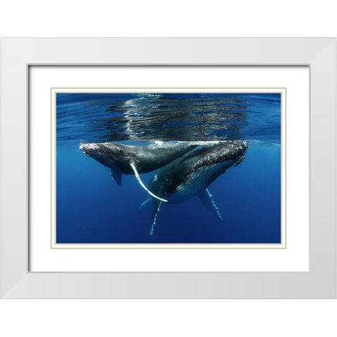 Mother And Son White Modern Wood Framed Art Print with Double Matting by Peneau, Cedric