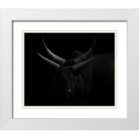 Real Lines Dreaming With Curves White Modern Wood Framed Art Print with Double Matting by Nunez Buj, Rodrigo