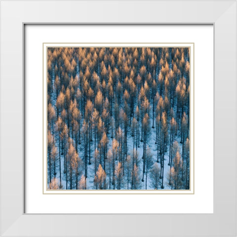 Fire White Modern Wood Framed Art Print with Double Matting by Z, Bingo