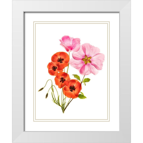 Flower Composition Iii White Modern Wood Framed Art Print with Double Matting by Yakubovitch, Azriel