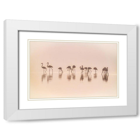 Flamingos In The Mist White Modern Wood Framed Art Print with Double Matting by C. Sink, Jeffrey