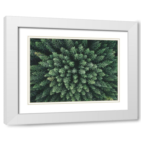 Moody Forest From Above White Modern Wood Framed Art Print with Double Matting by Lindsten, Christian