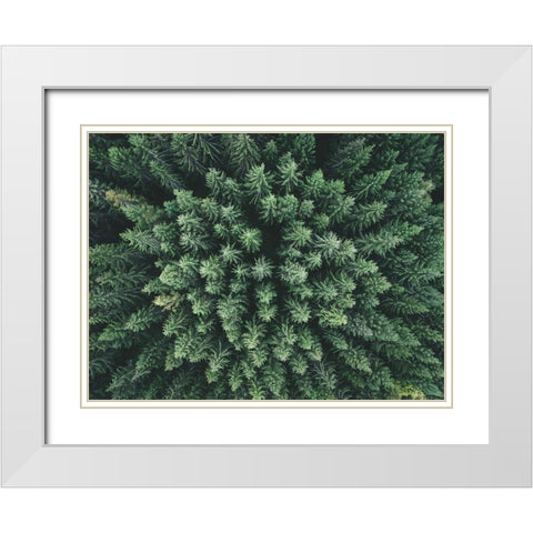 Moody Forest From Above White Modern Wood Framed Art Print with Double Matting by Lindsten, Christian