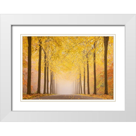 Autumn Road White Modern Wood Framed Art Print with Double Matting by Keller