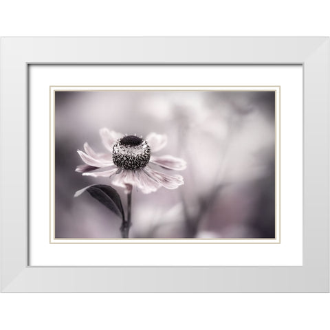 Helenium White Modern Wood Framed Art Print with Double Matting by Disher, Mandy