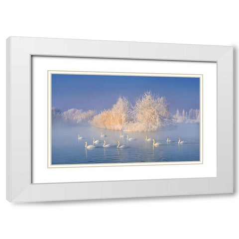 Swan Lake White Modern Wood Framed Art Print with Double Matting by Zhu, Hua