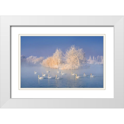 Swan Lake White Modern Wood Framed Art Print with Double Matting by Zhu, Hua