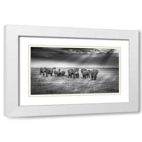 Breakfast With Pachyderms White Modern Wood Framed Art Print with Double Matting by C. Sink, Jeffrey