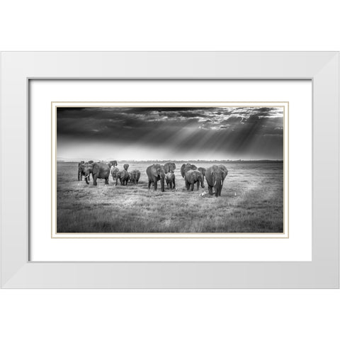 Breakfast With Pachyderms White Modern Wood Framed Art Print with Double Matting by C. Sink, Jeffrey