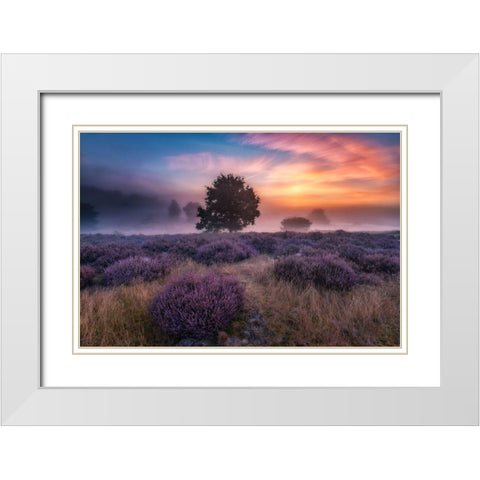 Qautumn Longingq White Modern Wood Framed Art Print with Double Matting by Pachula, Adam